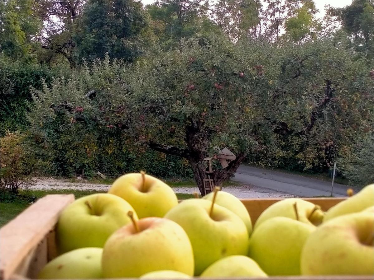 Antico Melo B&B Vignole Exteriér fotografie